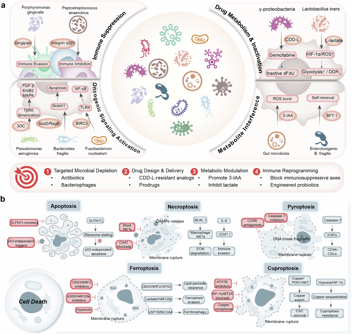 Cancer drug response and resistance: molecular mechanisms and combating strategies