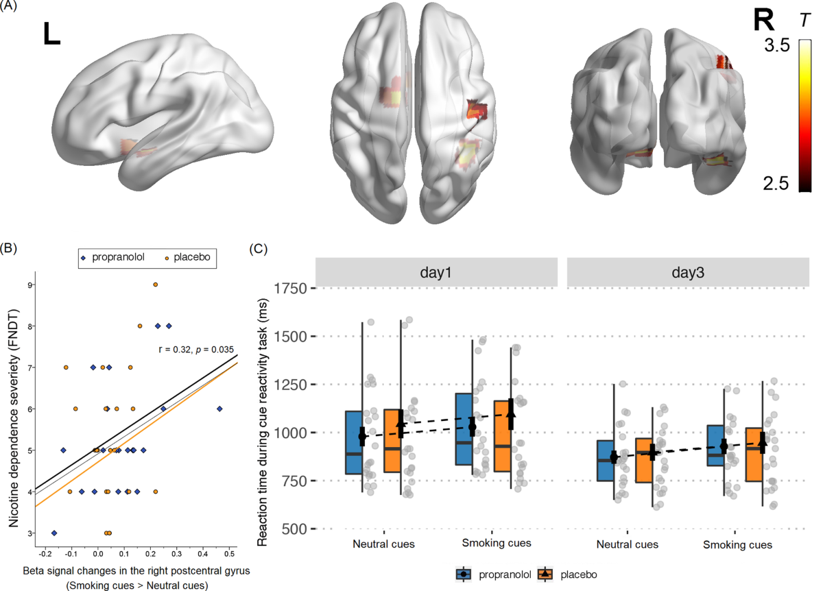 Neural substrates of propranolol-induced impairments in the reconsolidation  of nicotine-associated memories in smokers