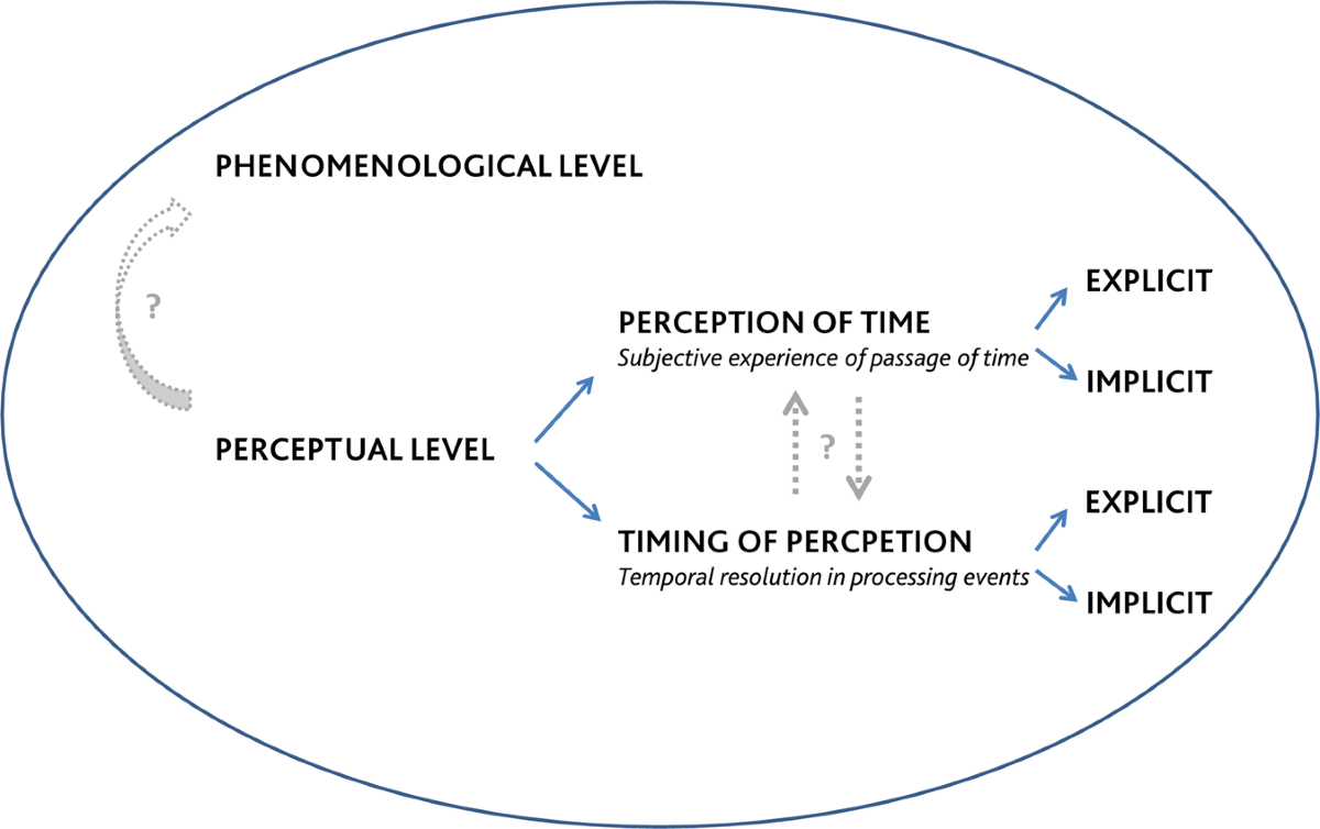 Time in schizophrenia: a link between psychopathology, psychophysics and  technology | Translational Psychiatry