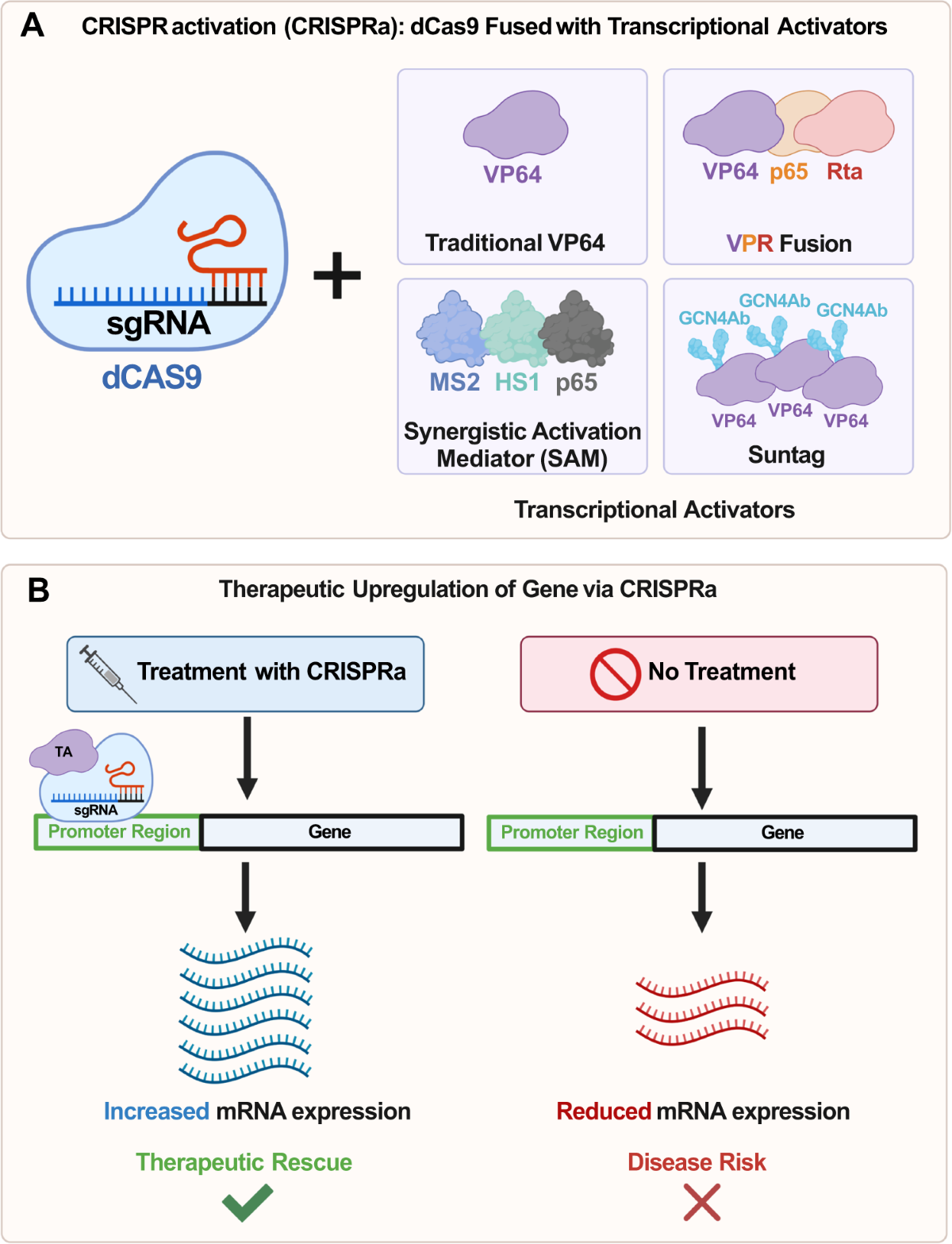 Therapeutic strategies for autism: targeting three levels of the central  dogma of molecular biology | Translational Psychiatry
