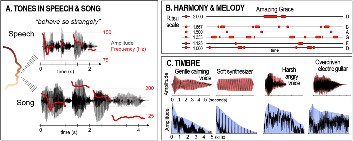 Biological principles for music and mental health | Translational Psychiatry