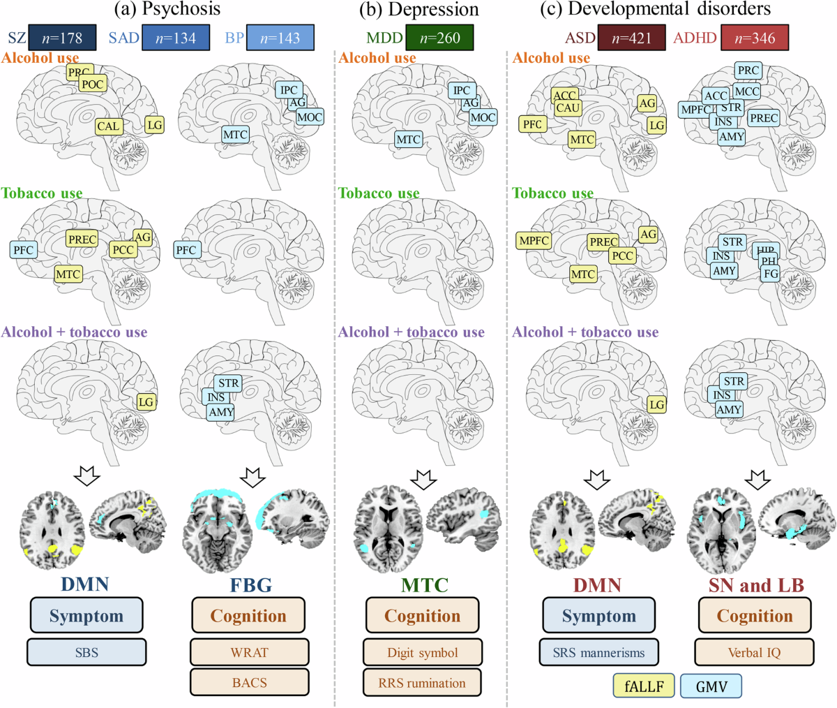 Associations of alcohol and tobacco use with psychotic, depressive and  developmental disorders revealed via multimodal neuroimaging