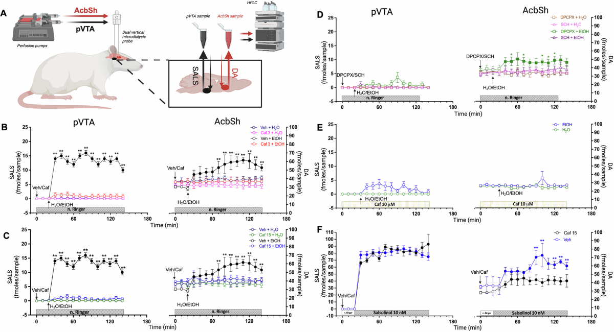 l-carnitine for alcohol withdrawal Receptor and metabolic insights on the ability of caffeine to prevent alcohol-induced stimulation of mesolimbic dopamine transmission NEUROCHEMICAL MECHANISMS OF ALCOHOL WITHDRAWAL