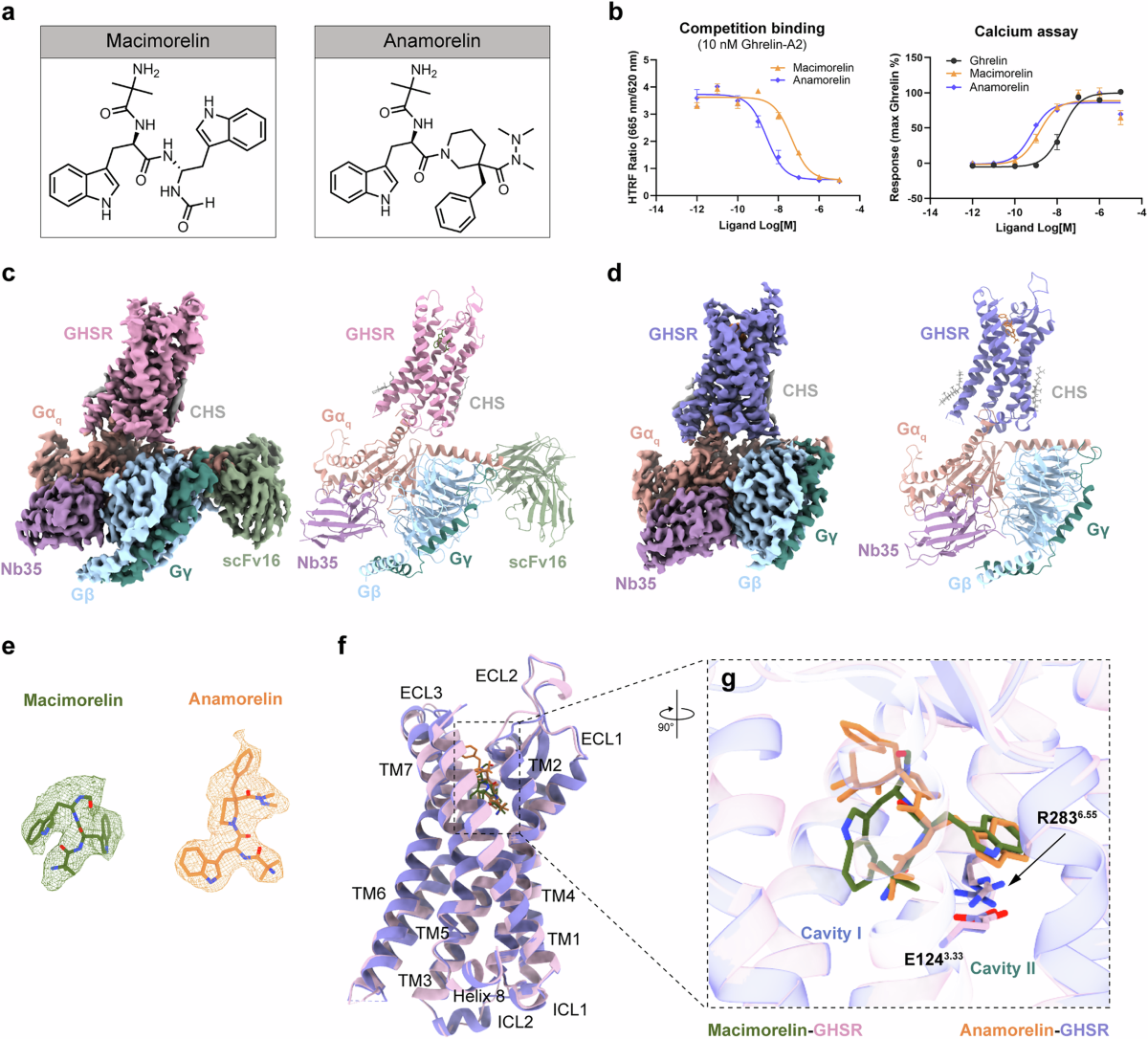 ipamorelin classification ghrp Molecular recognition of two approved drugs Macimorelin and Anamorelin by  the growth hormone secretagogue receptor