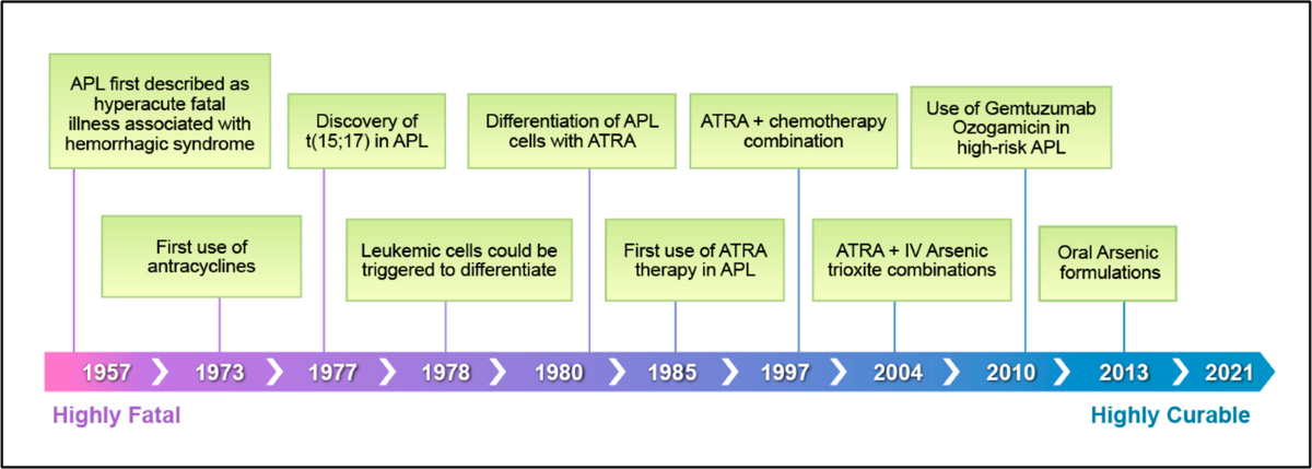 Acute promyelocytic leukemia current treatment algorithms | Blood Cancer  Journal