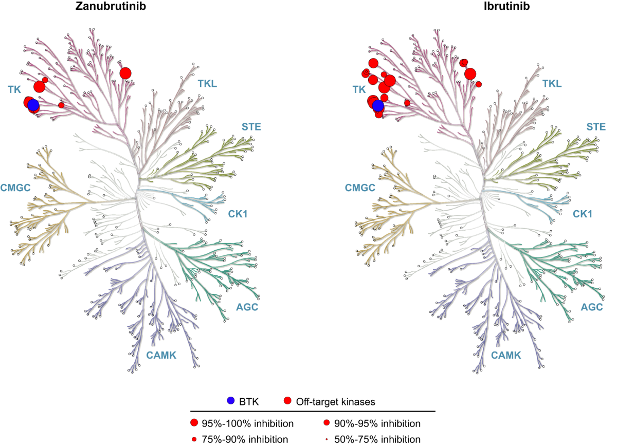 Ibrunib 140mg | Ibrutinib, image size:1200x868