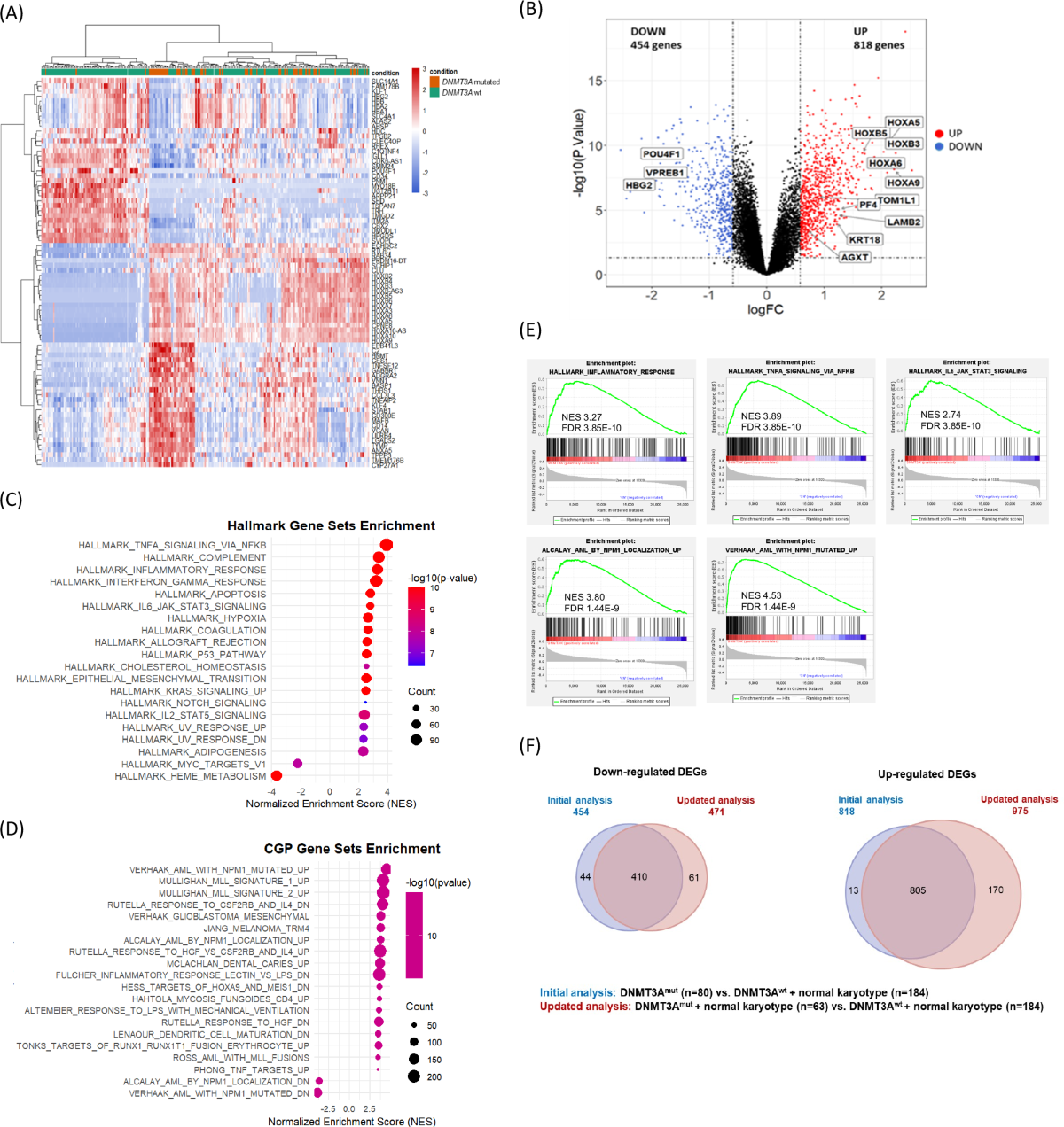 Genomic and transcriptomic determinants of clinical outcomes in patients  with AML and DNMT3A mutations | Blood Cancer Journal