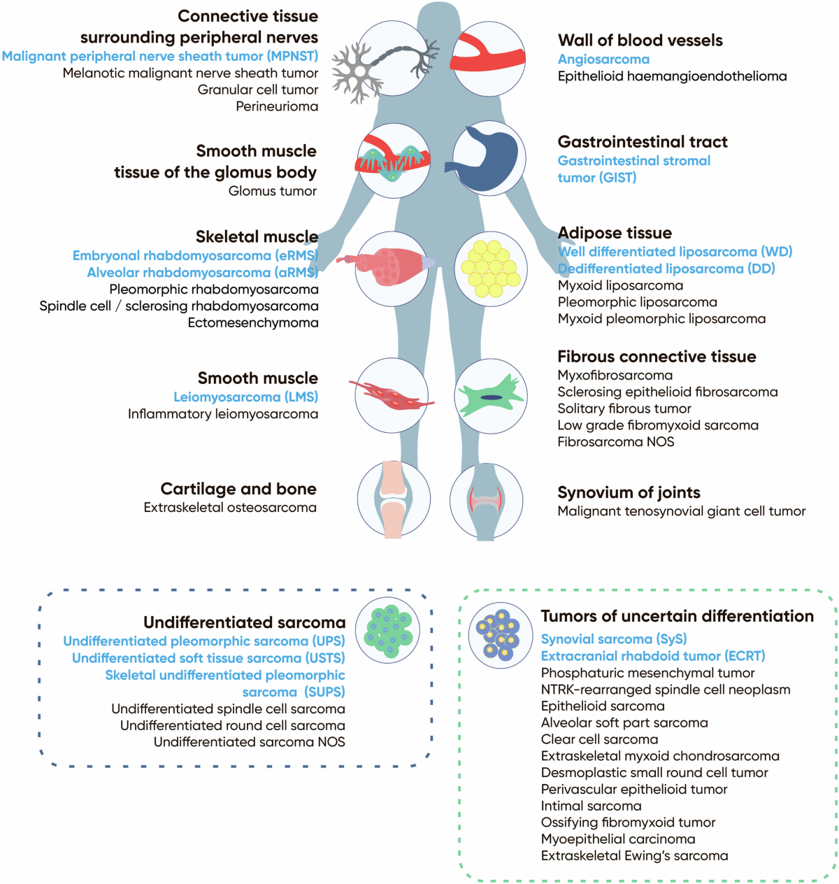 Soft tissue sarcomas at the single-cell and spatial resolution: new markers  and targets