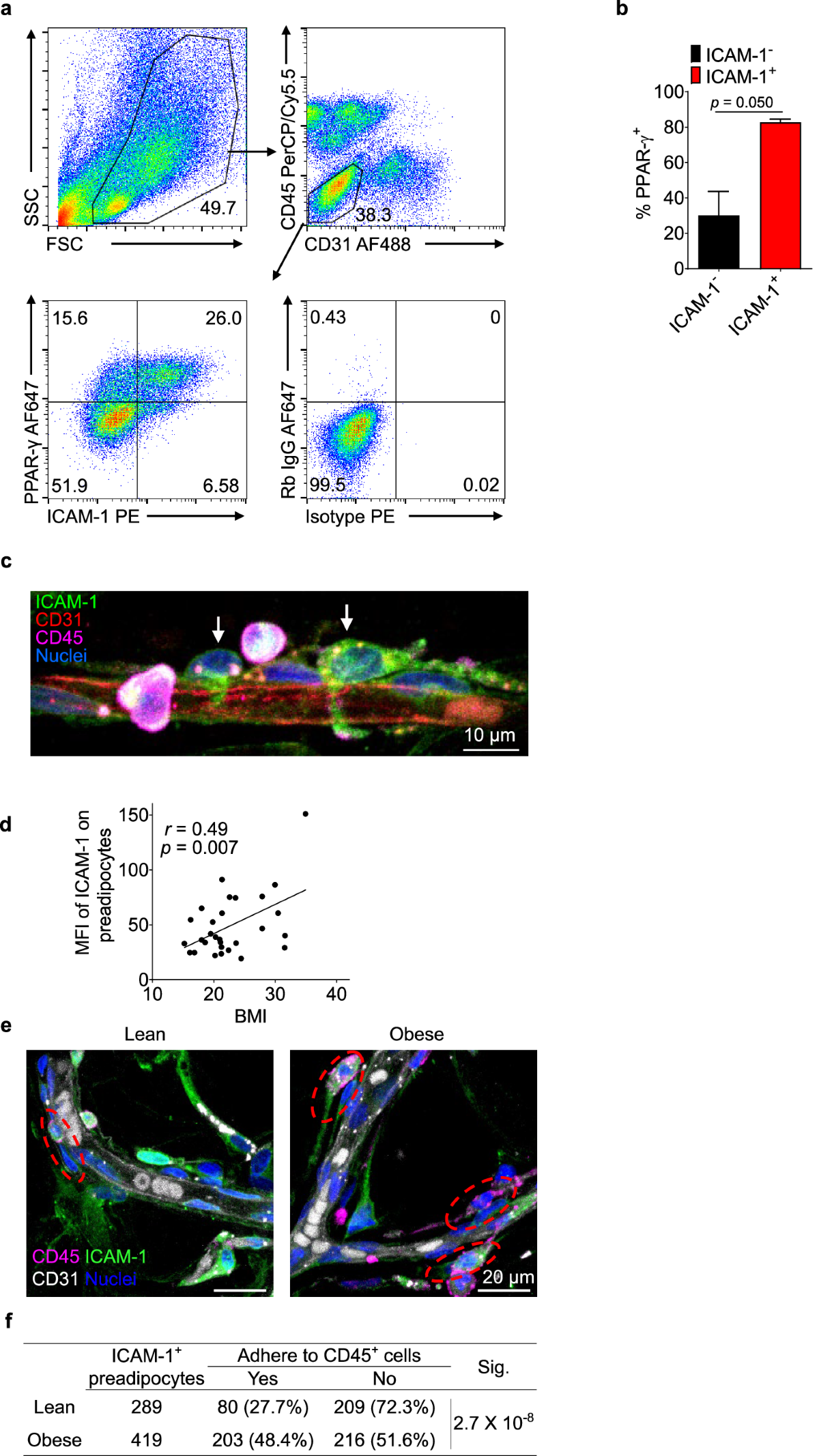 ICAM-1 identifies preadipocytes and restricts white adipogenesis by  adhering immune cells | Cell Death & Differentiation