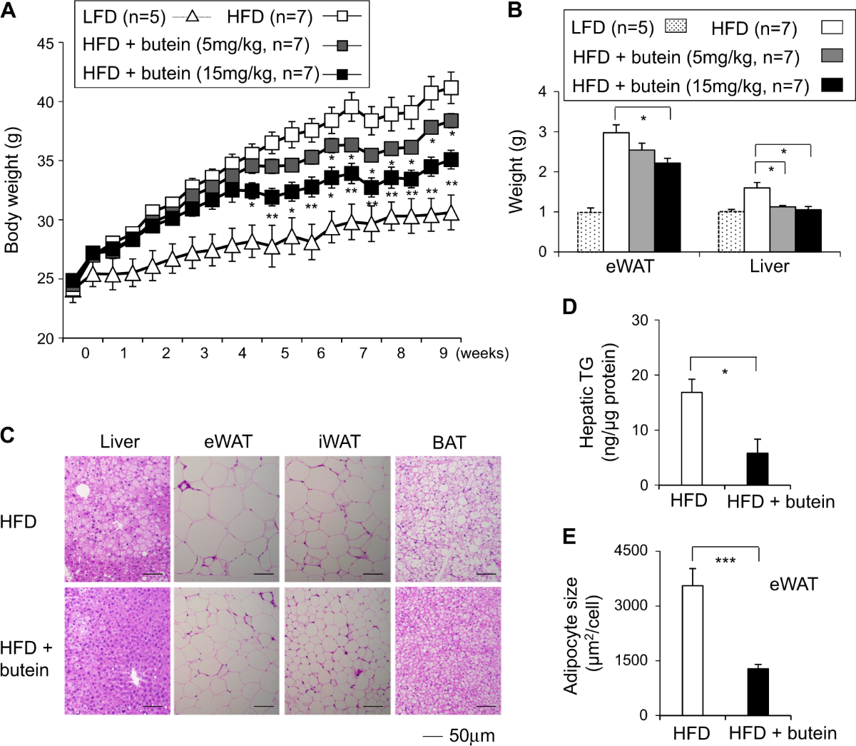 PI3Ka-Akt1-mediated Prdm4 induction in adipose tissue increases energy  expenditure, inhibits weight gain, and improves insulin resistance in  diet-induced obese mice | Cell Death & Disease