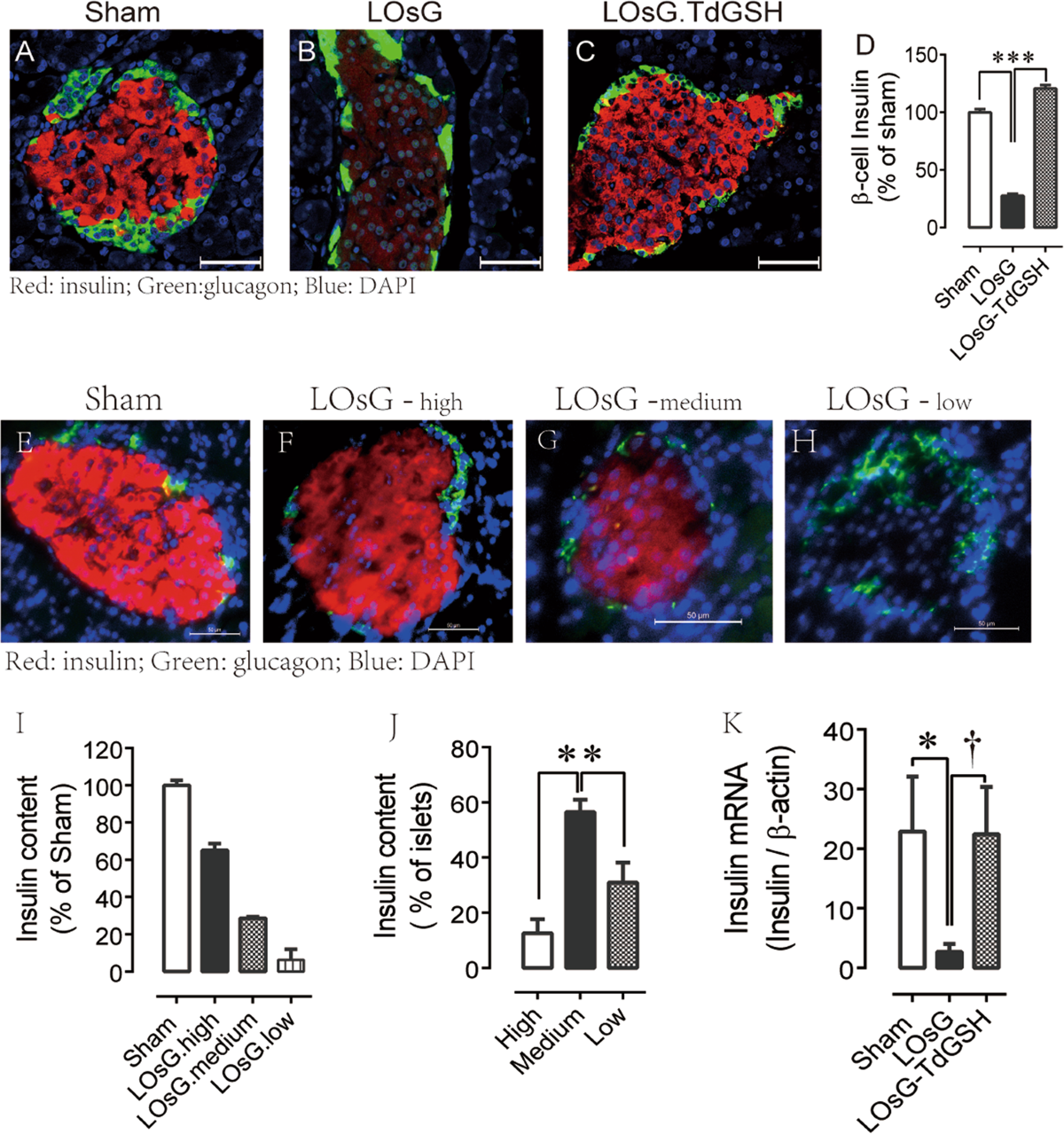 Glutathione prevents chronic oscillating glucose intake-induced β-cell  dedifferentiation and failure