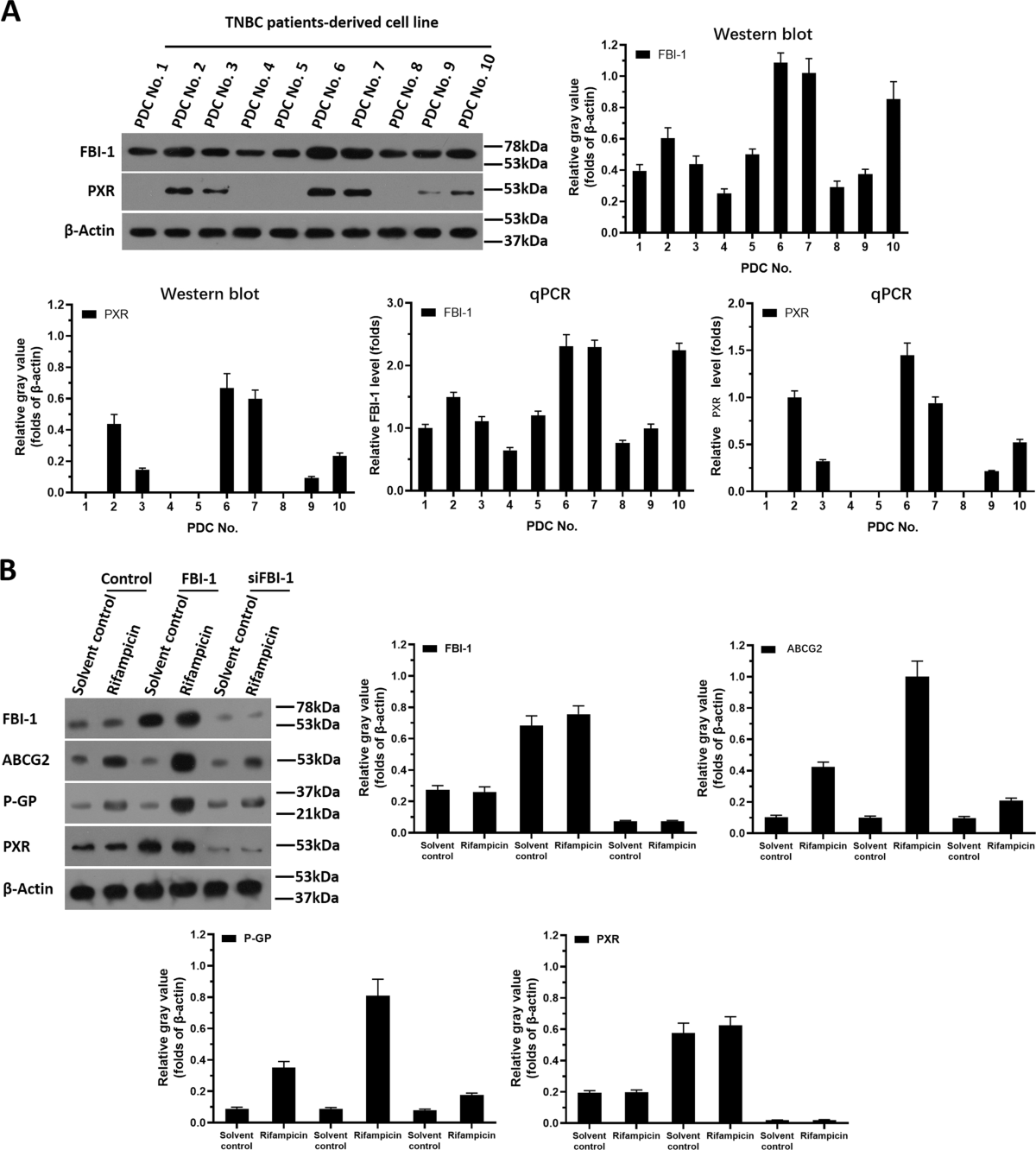 FBI-1 enhanced the resistance of triple-negative breast cancer cells to  chemotherapeutic agents via the miR-30c/PXR axis | Cell Death & Disease