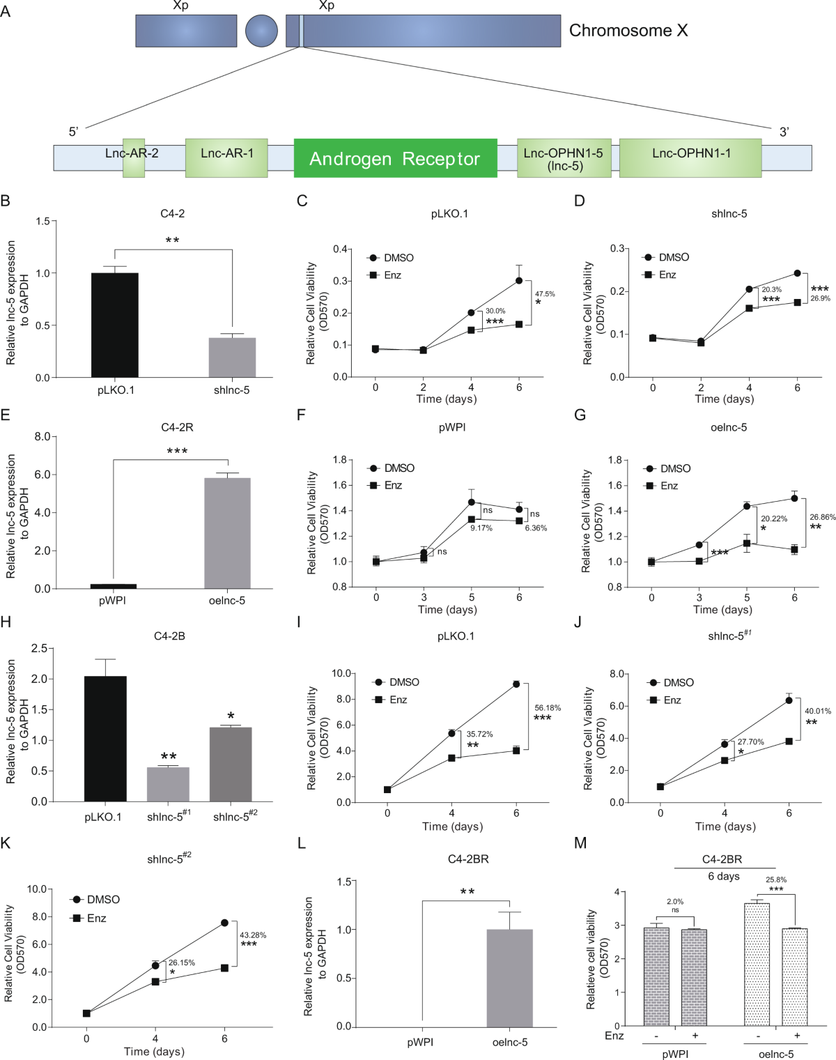 Targeting the Lnc-OPHN1-5/androgen receptor/hnRNPA1 complex increases Enzalutamide sensitivity to better suppress prostate cancer progression | Cell Death & Disease da-form-2408-13-1-oct-97-aircraft-inspection-and