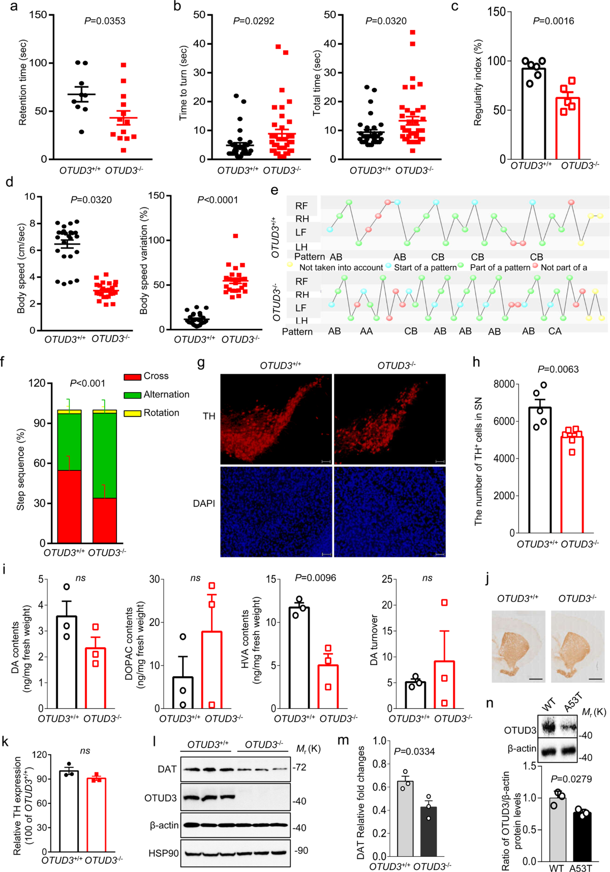 deubiquitylase-otud3-prevents-parkinson-s-disease-through-stabilizing-iron-regulatory-protein-2-cell-death-disease