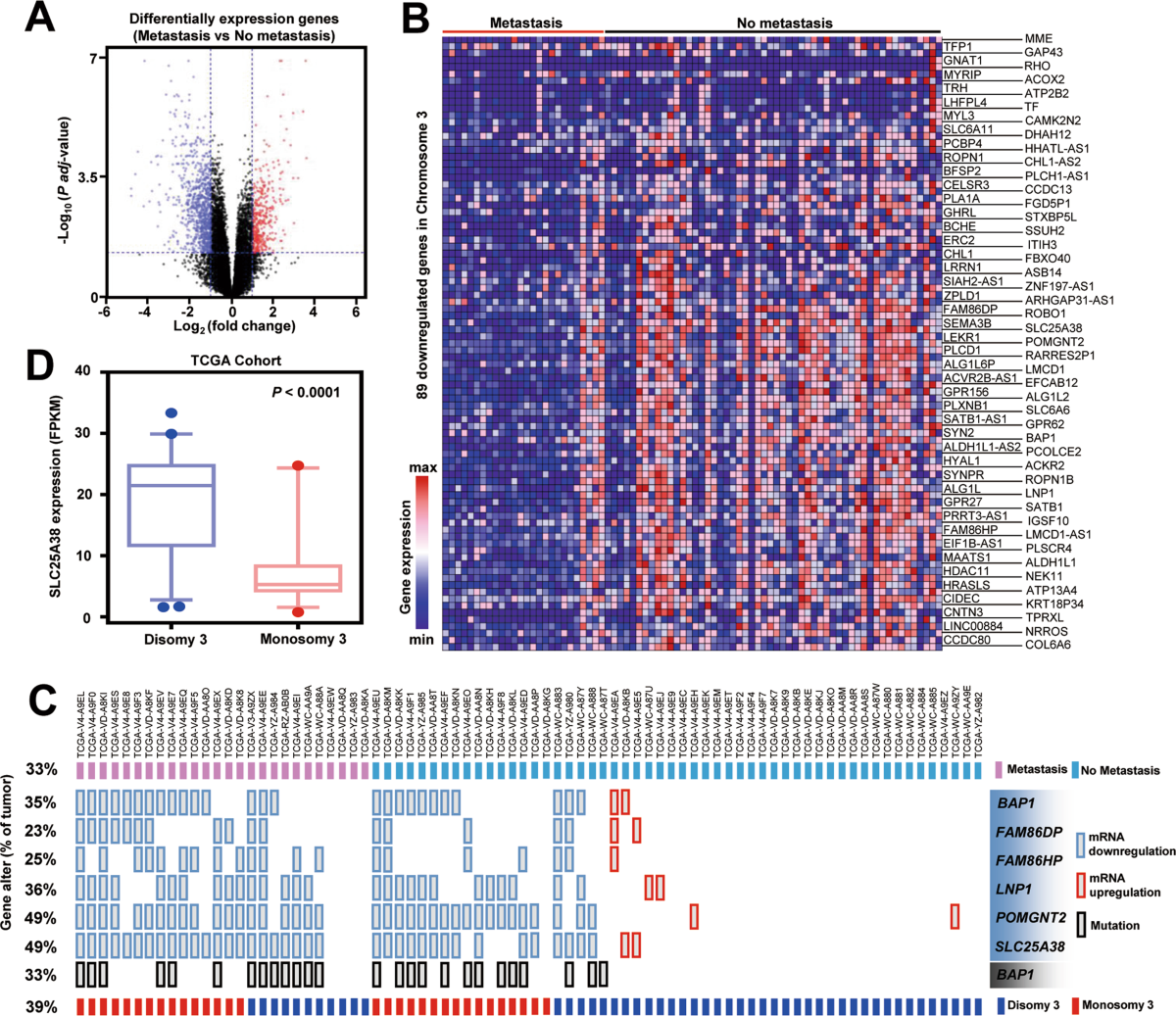 SLC25A38 as a novel biomarker for metastasis and clinical outcome