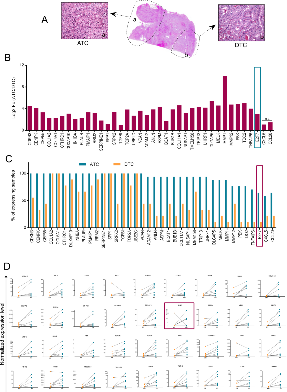 On 27 June 1980, Itavia Flight 870 (IH 870, AJ 421), a McDonnell Dougl... |  TikTok, image size:1200x1636
