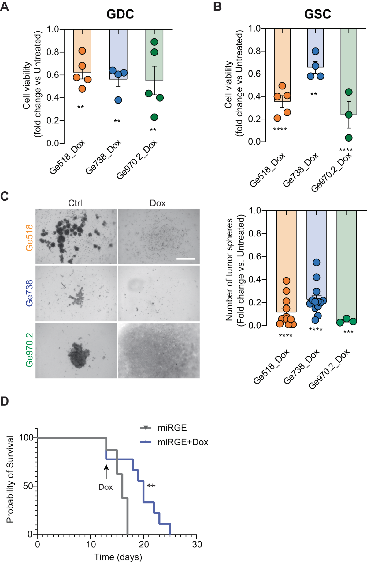 Identification of a miRNA multi-targeting therapeutic strategy in  glioblastoma | Cell Death & Disease