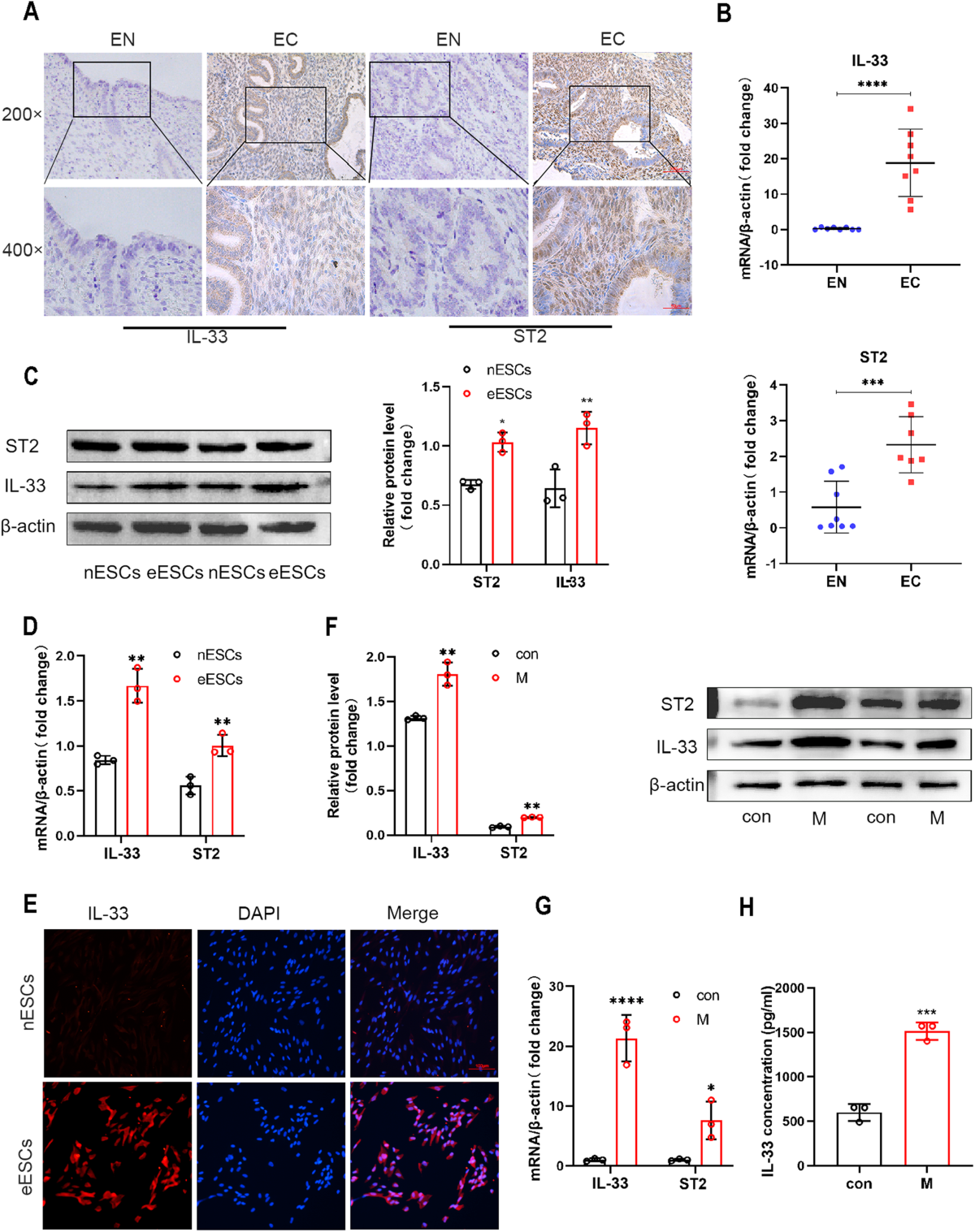 glutathione good for endometriosis International Journal of Molecular Medicine main image 1