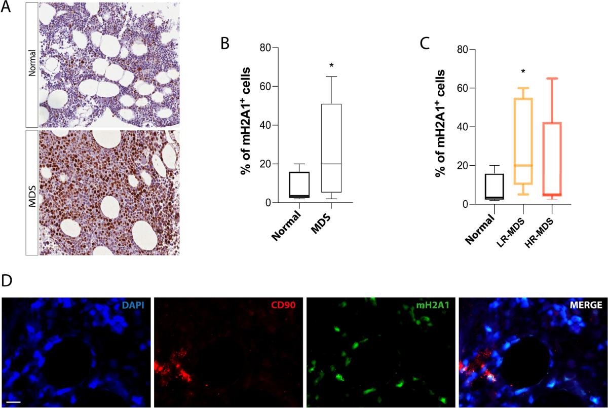 Kaytranada's Journey to Acceptance as a Gay Man, image size:1200x805