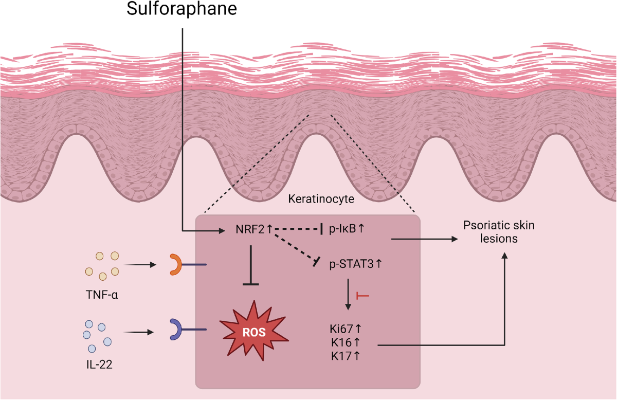 how many times should i take glutathione a day 4 Ways To Improve Gut Health