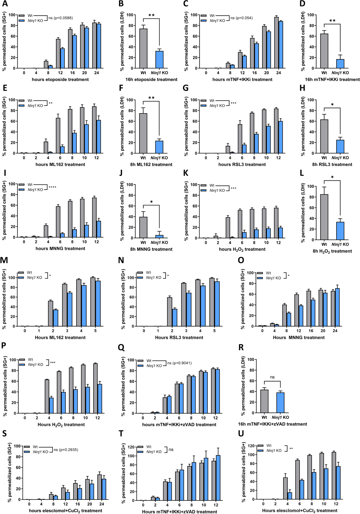 ninj1-is-activated-by-cell-swelling-to-regulate-plasma-membrane-permeabilization-during-regulated-necrosis-cell-death-disease