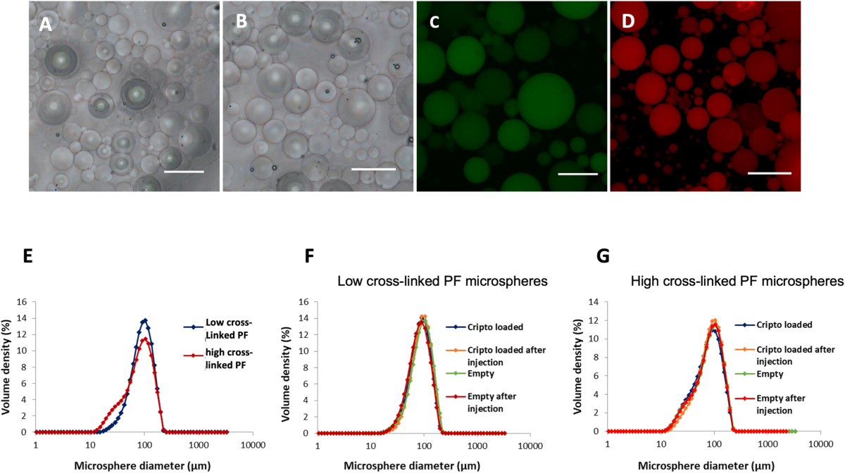 Development of a local controlled release system for therapeutic 