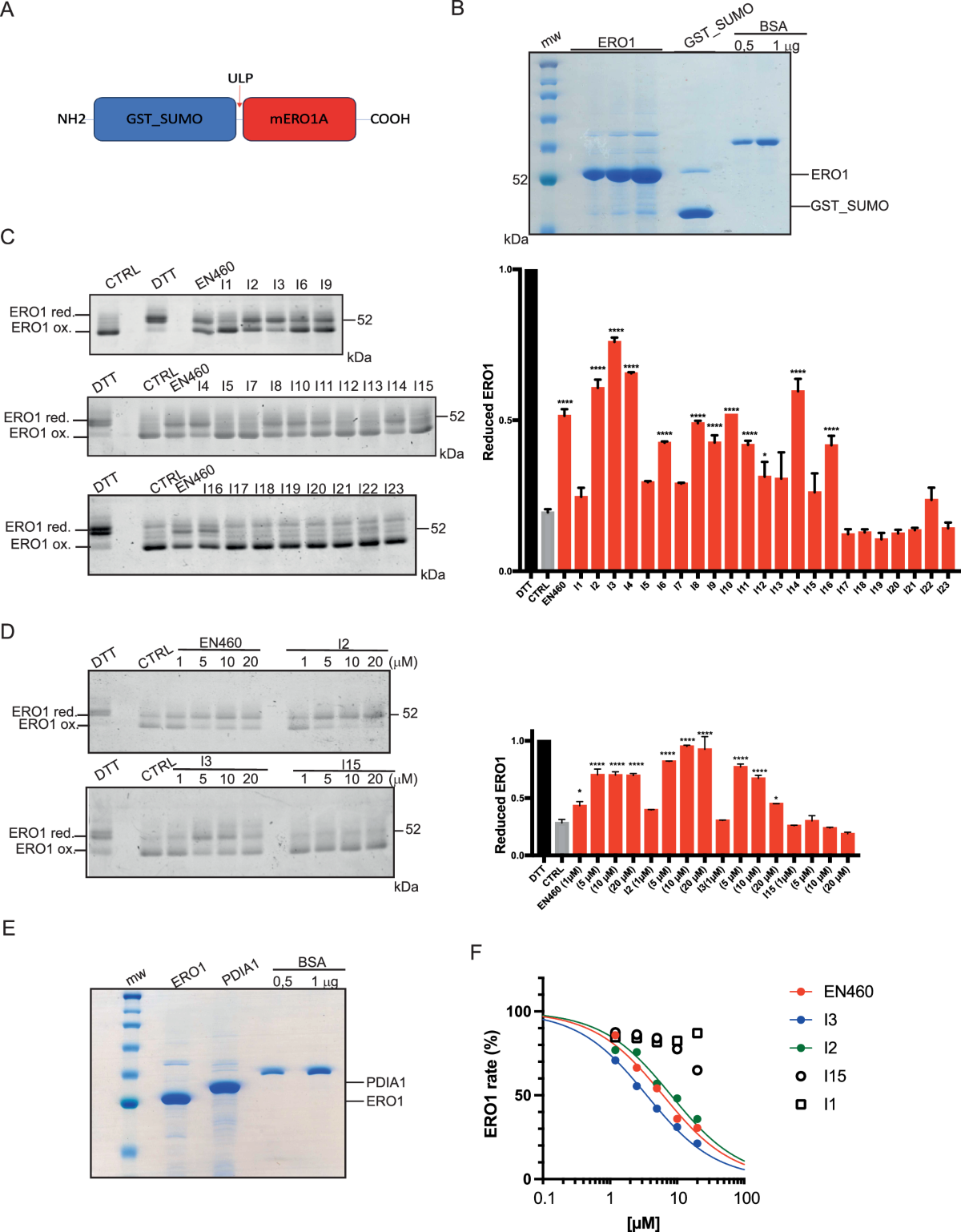 Small molecule-mediated inhibition of the oxidoreductase ERO1A restrains  aggressive breast cancer by impairing VEGF and PD-L1 in the tumor  microenvironment | Cell Death \u0026 Disease, image size:1200x1538
