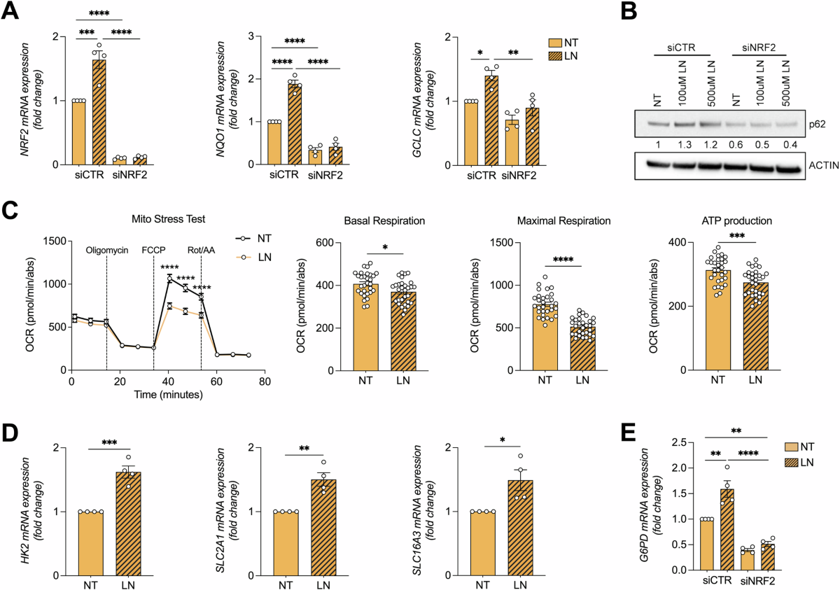 Global Journal of Human Social Science, image size:1200x843