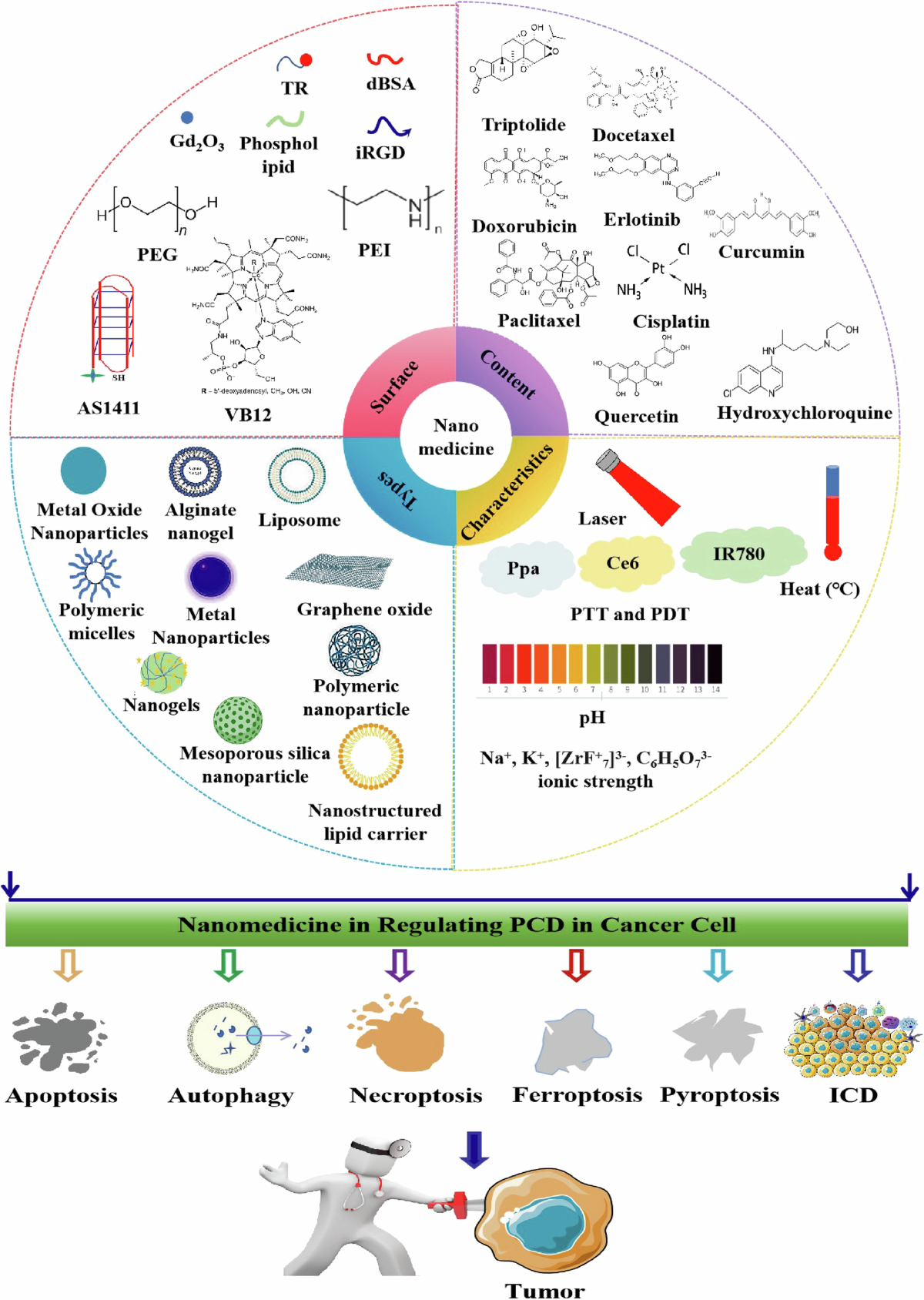 Nanomedicine-induced programmed cell death in cancer therapy: mechanisms  and perspectives