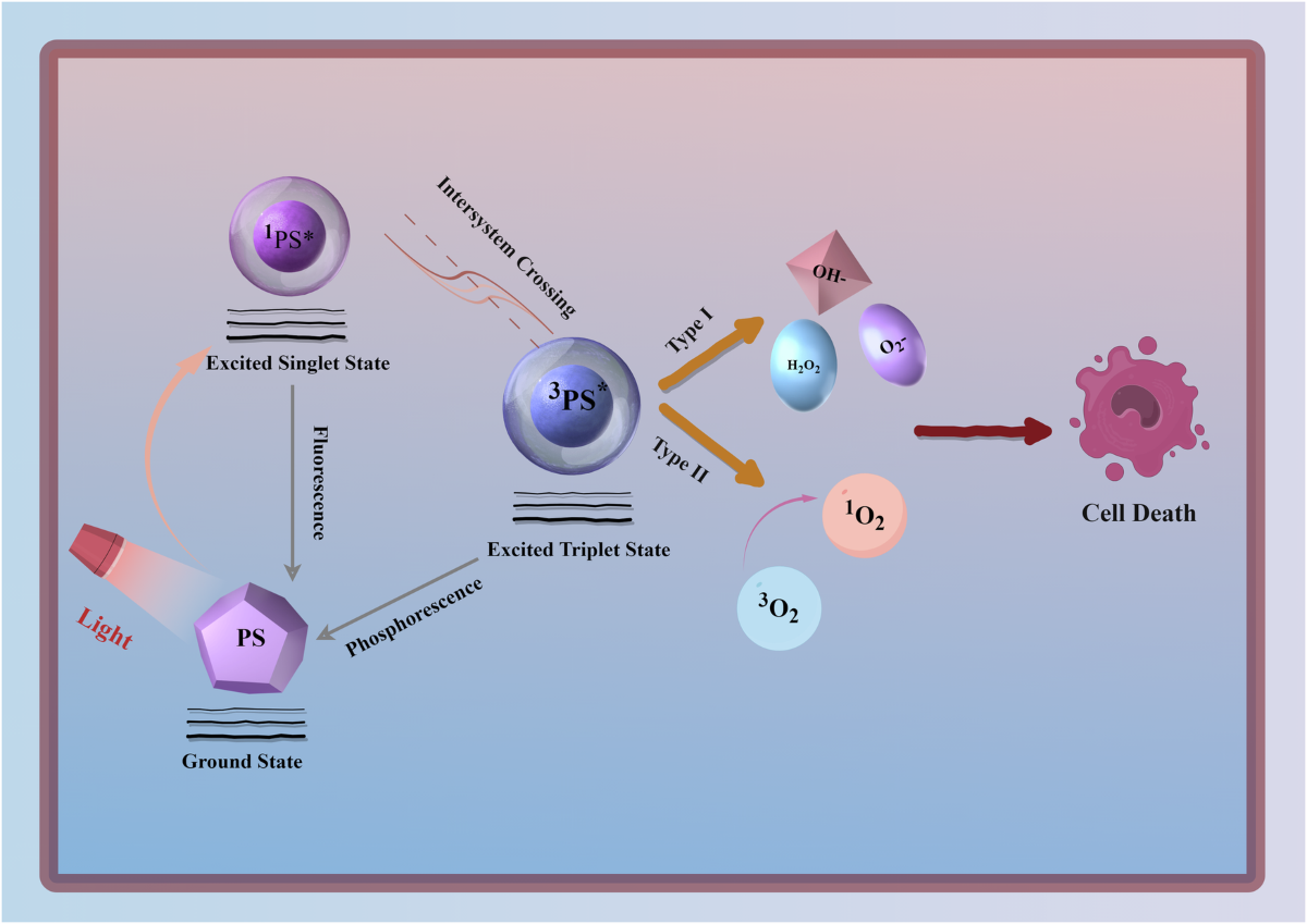 lglutathione vs glutathione reduced L-Glutathione reduced (GSH) | Antioxidant