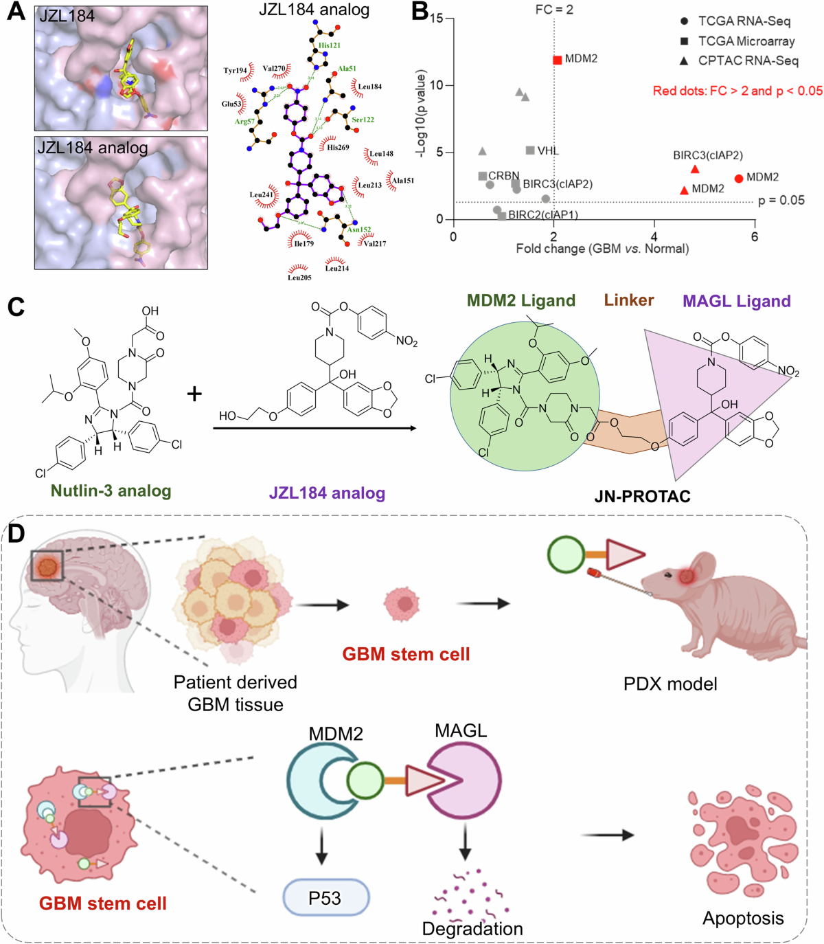 uploaded.net lsm nude MAGL targeted PROTAC degrader simultaneously enhances P53 for synergistic  treatment of glioblastoma stem cell | Cell Death Discovery