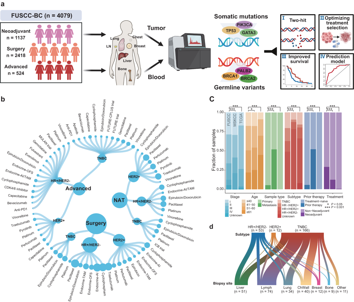 Comprehensive genomic profiling of breast cancers characterizes 