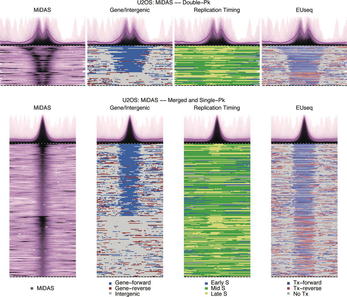High-resolution mapping of mitotic DNA synthesis regions and common fragile  sites in the human genome through direct sequencing