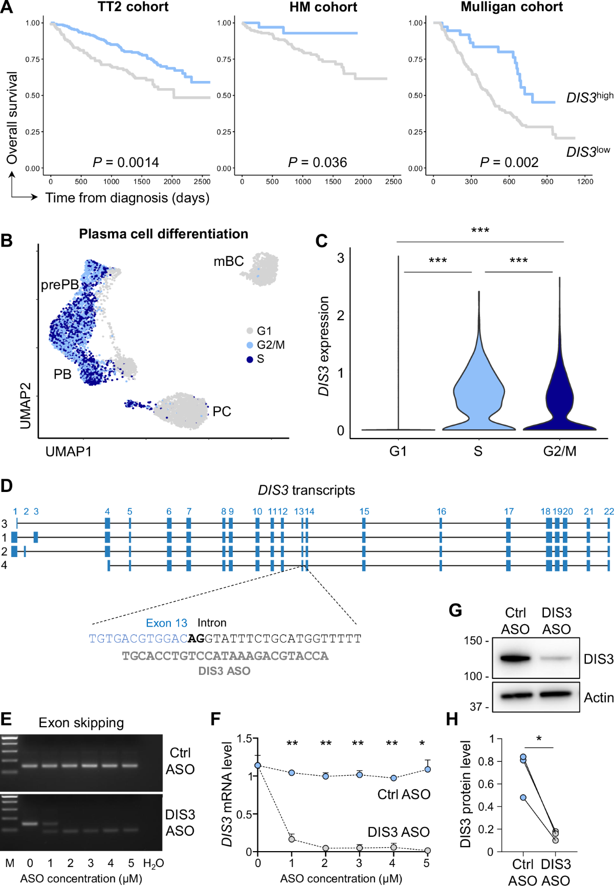 Battle of the Sexes in Tennis: A New Matchup, image size:1200x1729