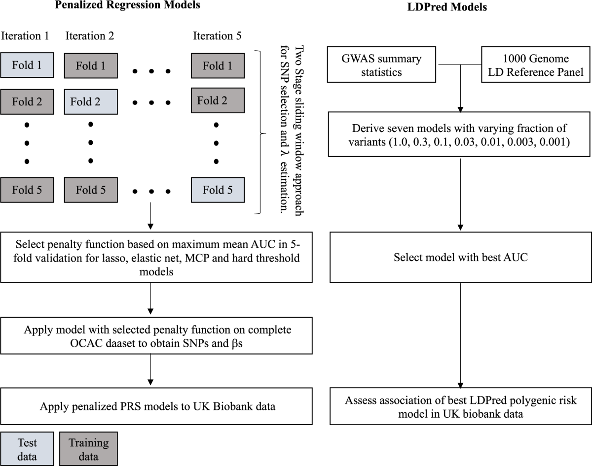 Polygenic risk modeling for prediction of epithelial ovarian cancer risk |  European Journal of Human Genetics
