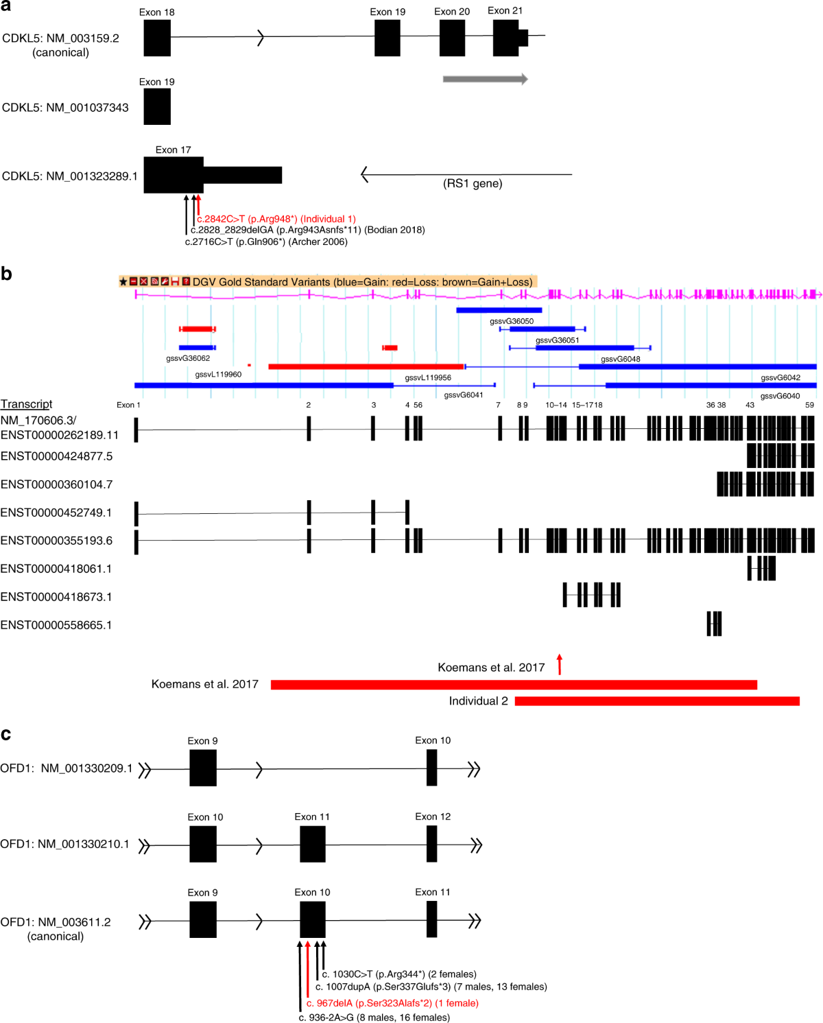 Alternative transcripts in variant interpretation: the potential for missed  diagnoses and misdiagnoses | Genetics in Medicine