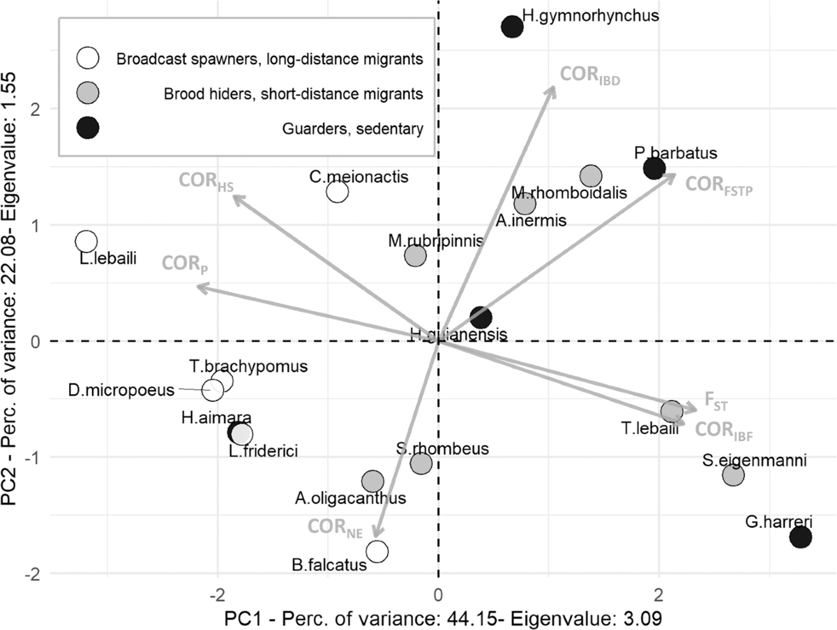 Contrasts in riverscape patterns of intraspecific genetic variation in a  diverse Neotropical fish community of high conservation value | Heredity