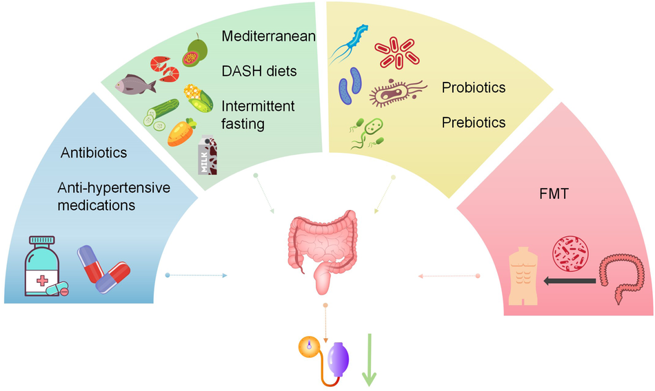 provicar l carnitina  Provicar (L-Carnitina): energa para tu da  Si buscas un impulso  para tu rendimiento y bienestar, Provicar con L-carnitina puede ser tu  aliado   Ayuda a transformar la grasa en