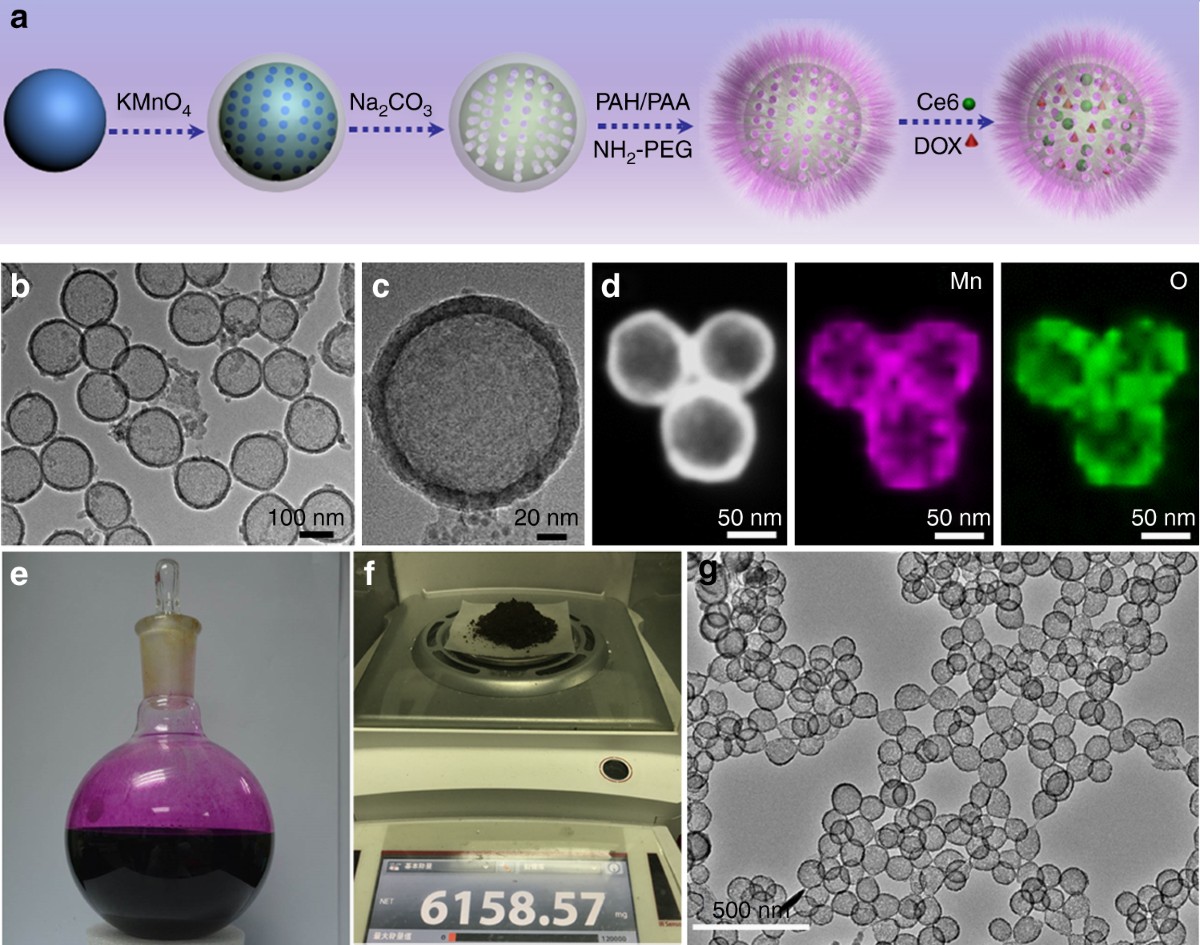 mri glutathione level tumor mno2 Hollow as a tumor-microenvironment-responsive biodegradable nano-platform for combination therapy favoring antitumor immune responses DISCOUNTABLE