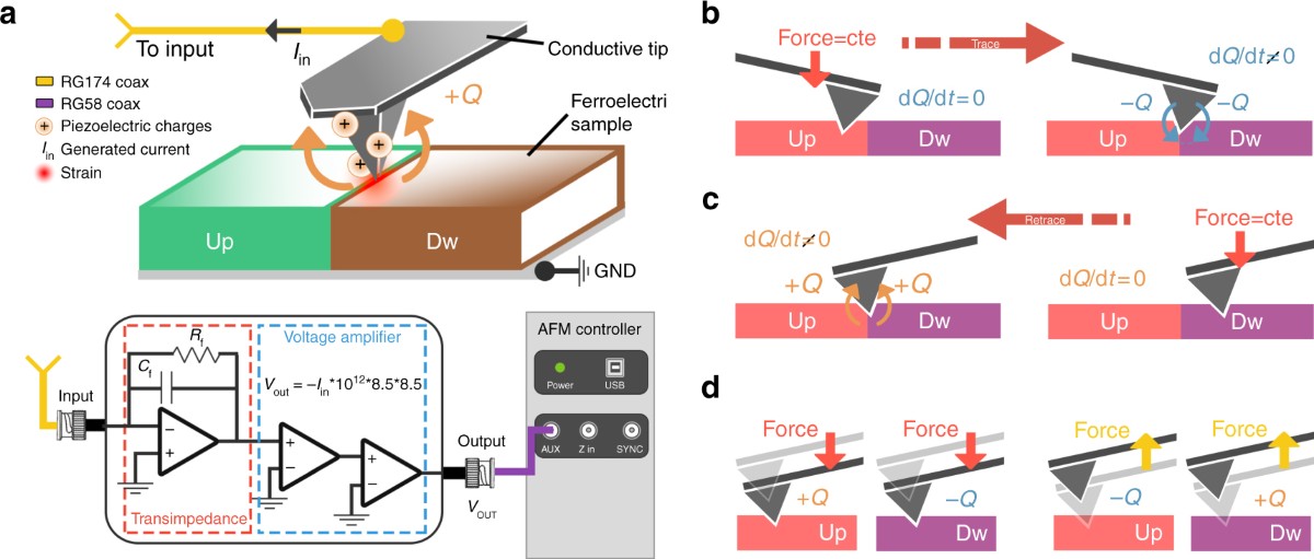Atomic force microscopy (AFM) and piezoresponse force m