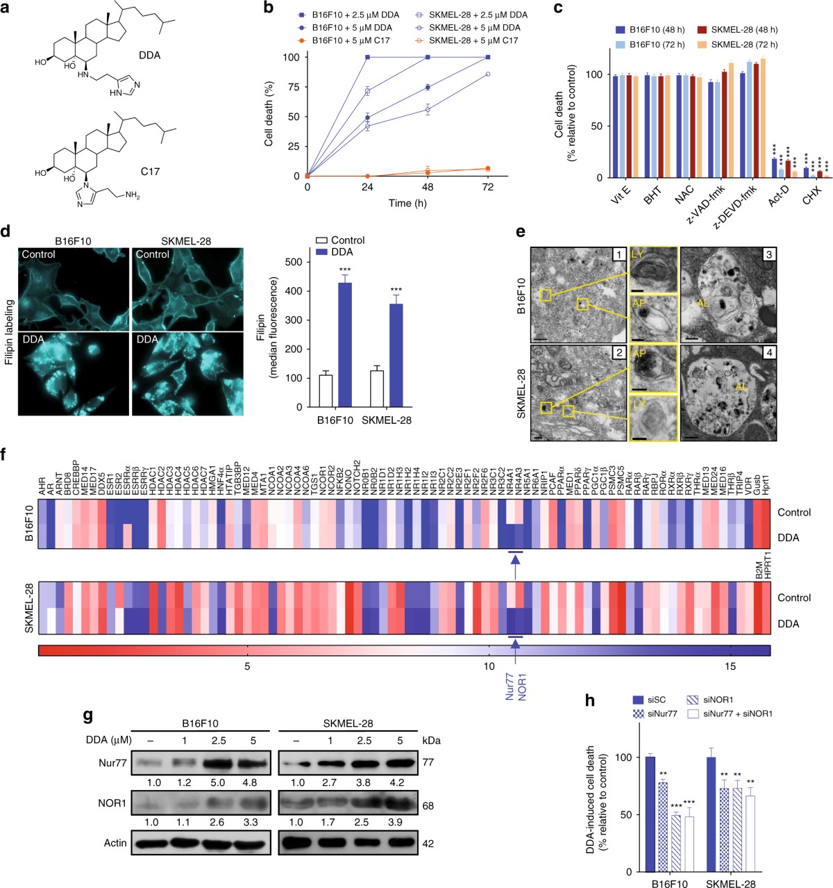 Fundraiser by Paul Lakin : Support Dre's Fight Against Addison's Disease, image size:1200x1278