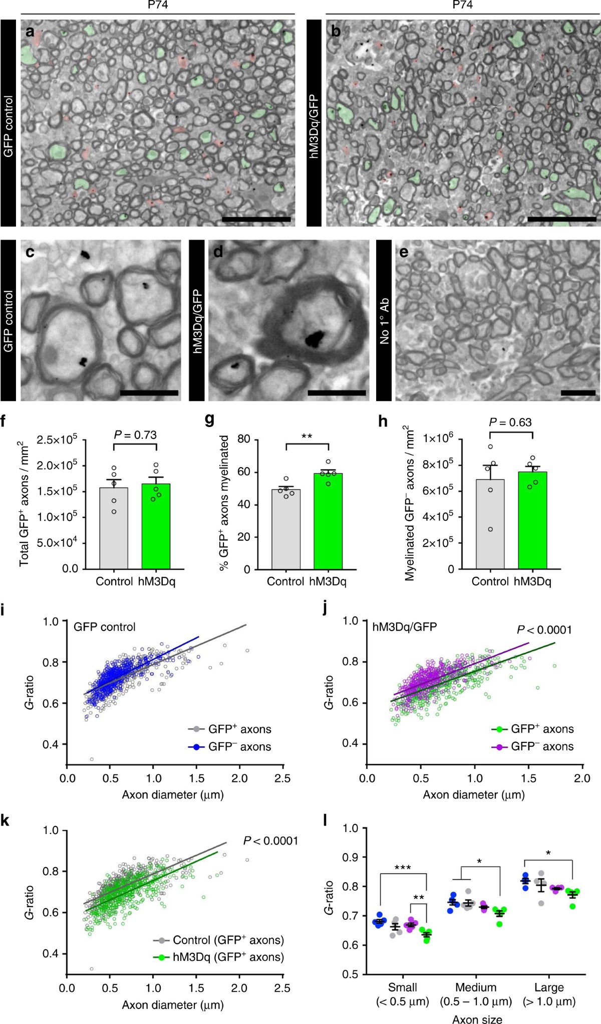 t\\t \\sr\\, image size:1200x2043