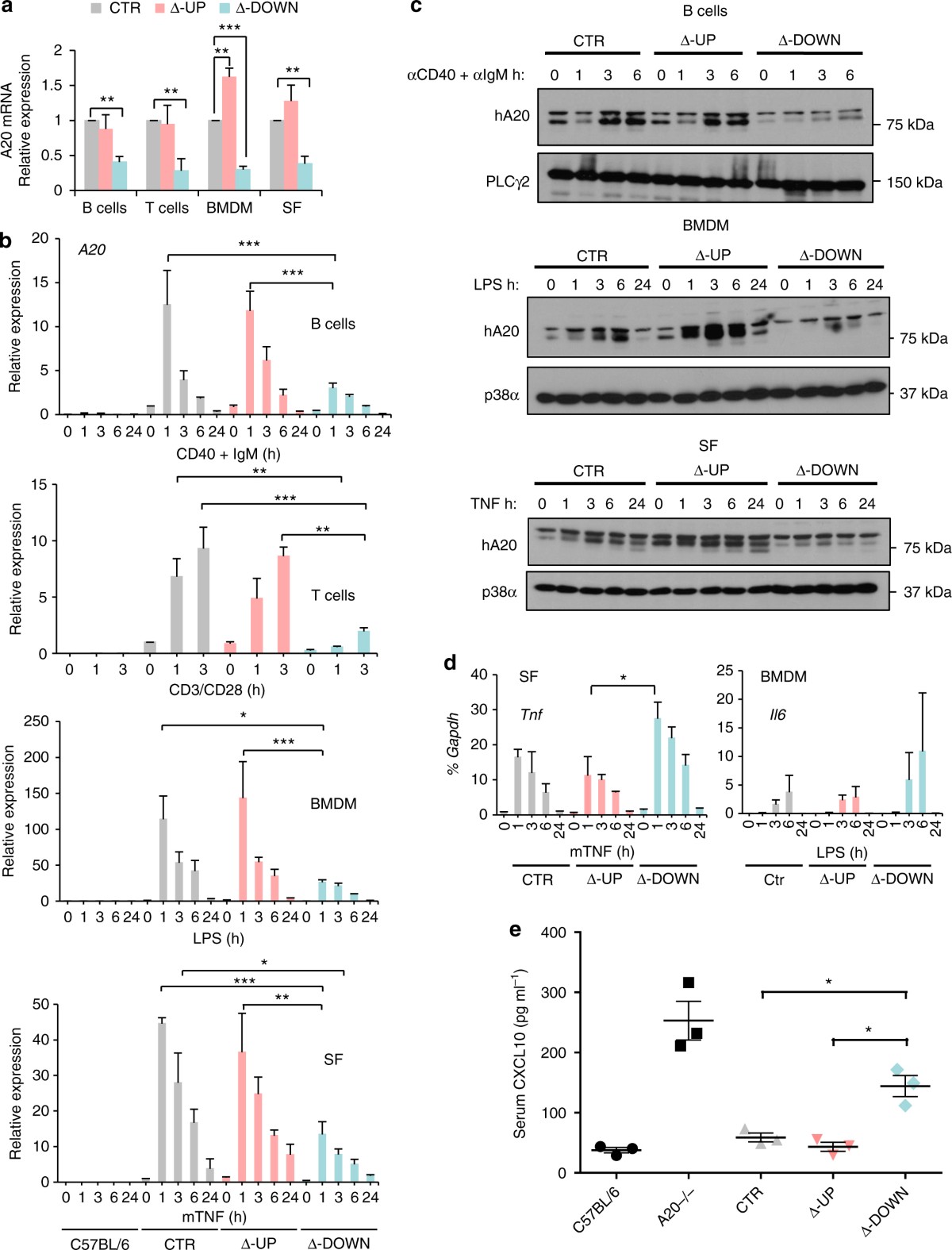 Dissection and function of autoimmunity-associated TNFAIP3 (A20) gene  enhancers in humanized mouse models | Nature Communications