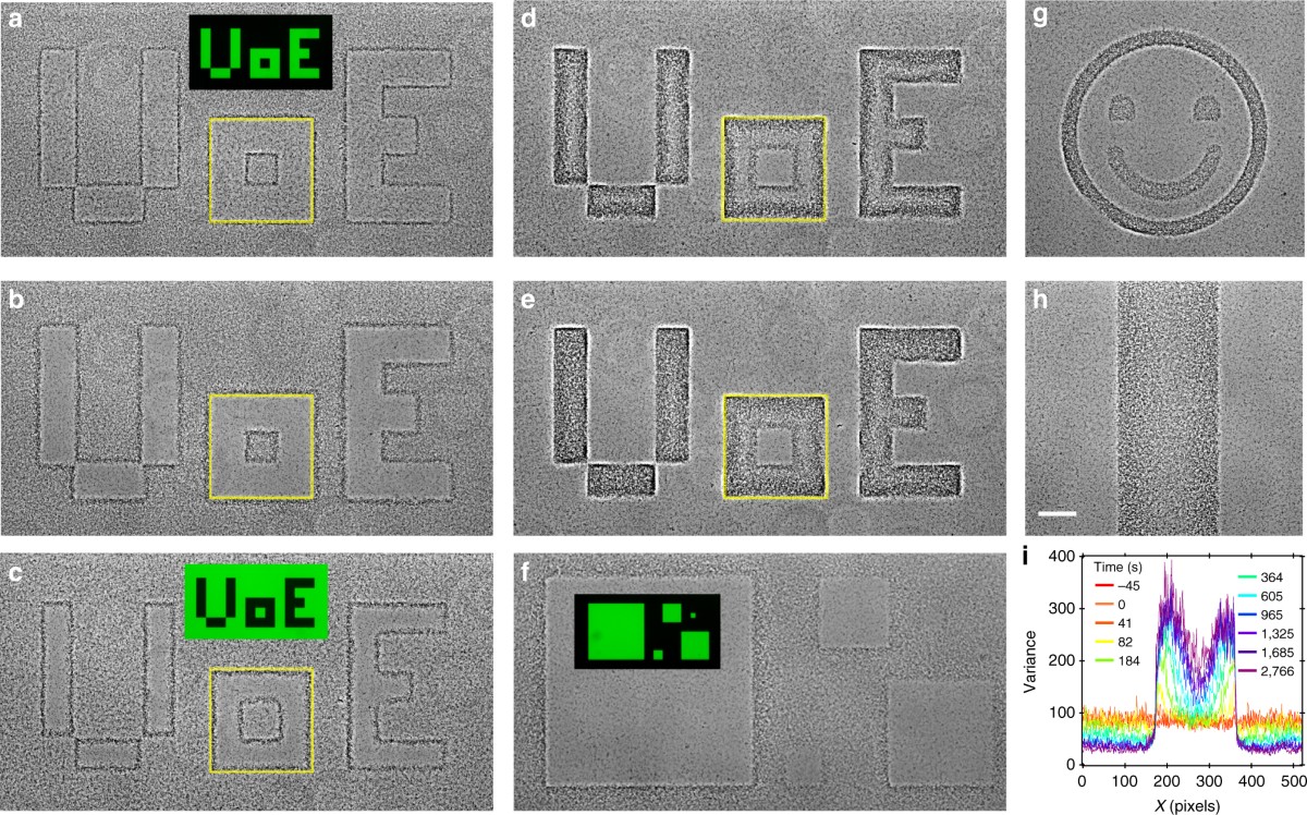 Painting with light-powered bacteria | Nature Communications