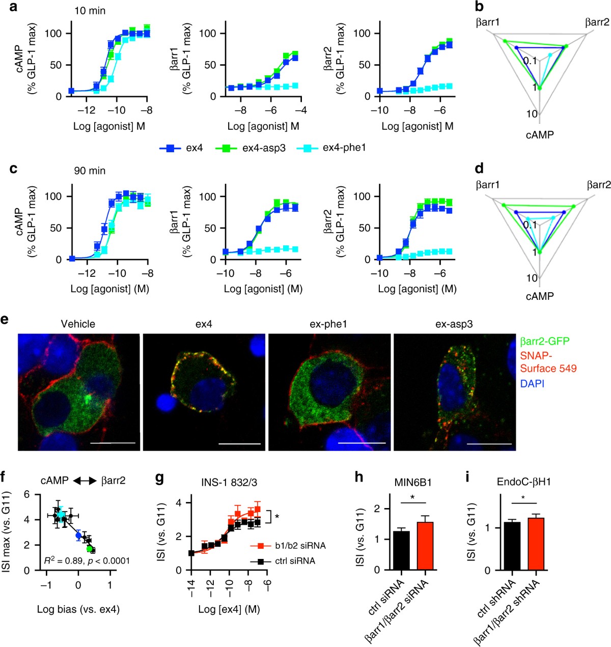 bristol-myers glp-1 receptor agonist products Targeting GLP-1 receptor trafficking to improve agonist efficacy