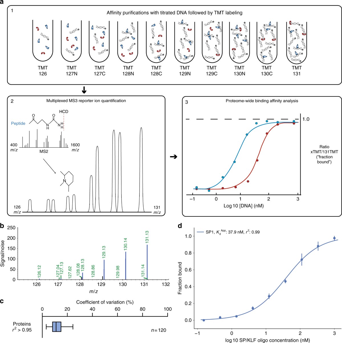 glutathione agarose gravitation Global profiling of protein–DNA and protein–nucleosome binding affinities using quantitative mass spectrometry via a 10 Deciphering the Protein Phosphorylation Dynamics
