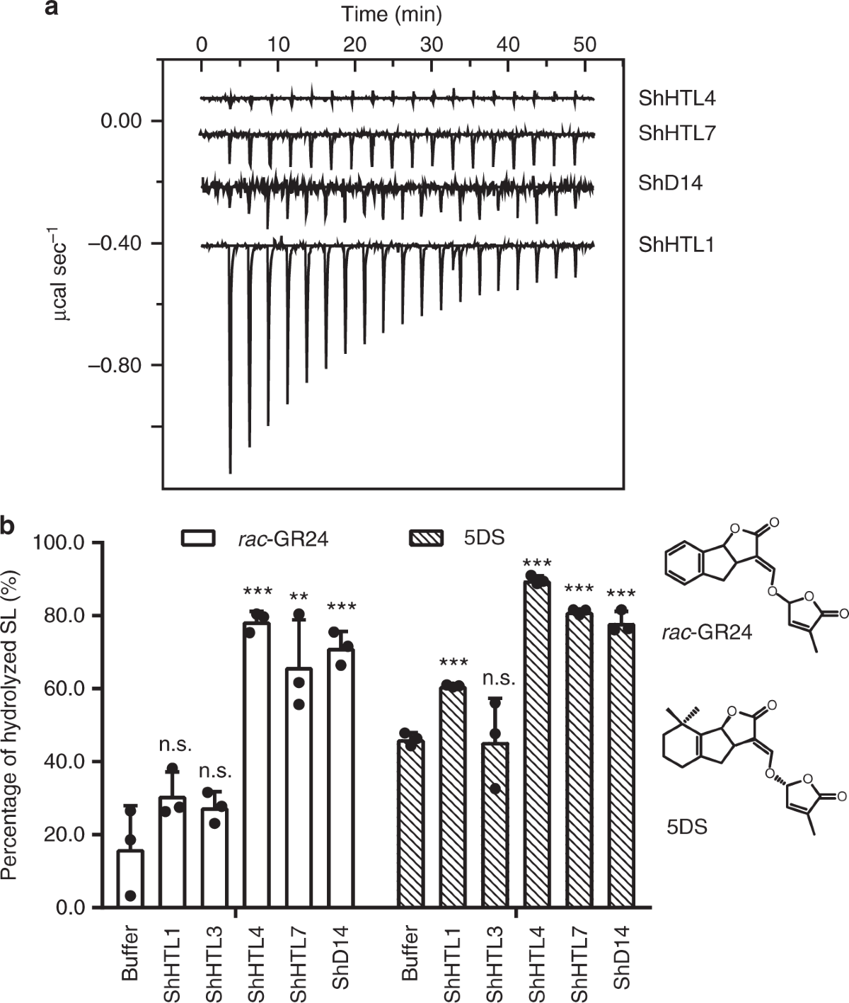 half life of ipamorelin Your body already knows how to produce growth hormone. It just needs the  right signals. CJC-1295 and Ipamorelin work together to restore balance,  supporting sleep, recovery, and overall performance. #Shookra  #PeptideTherapy #CJC1295 #