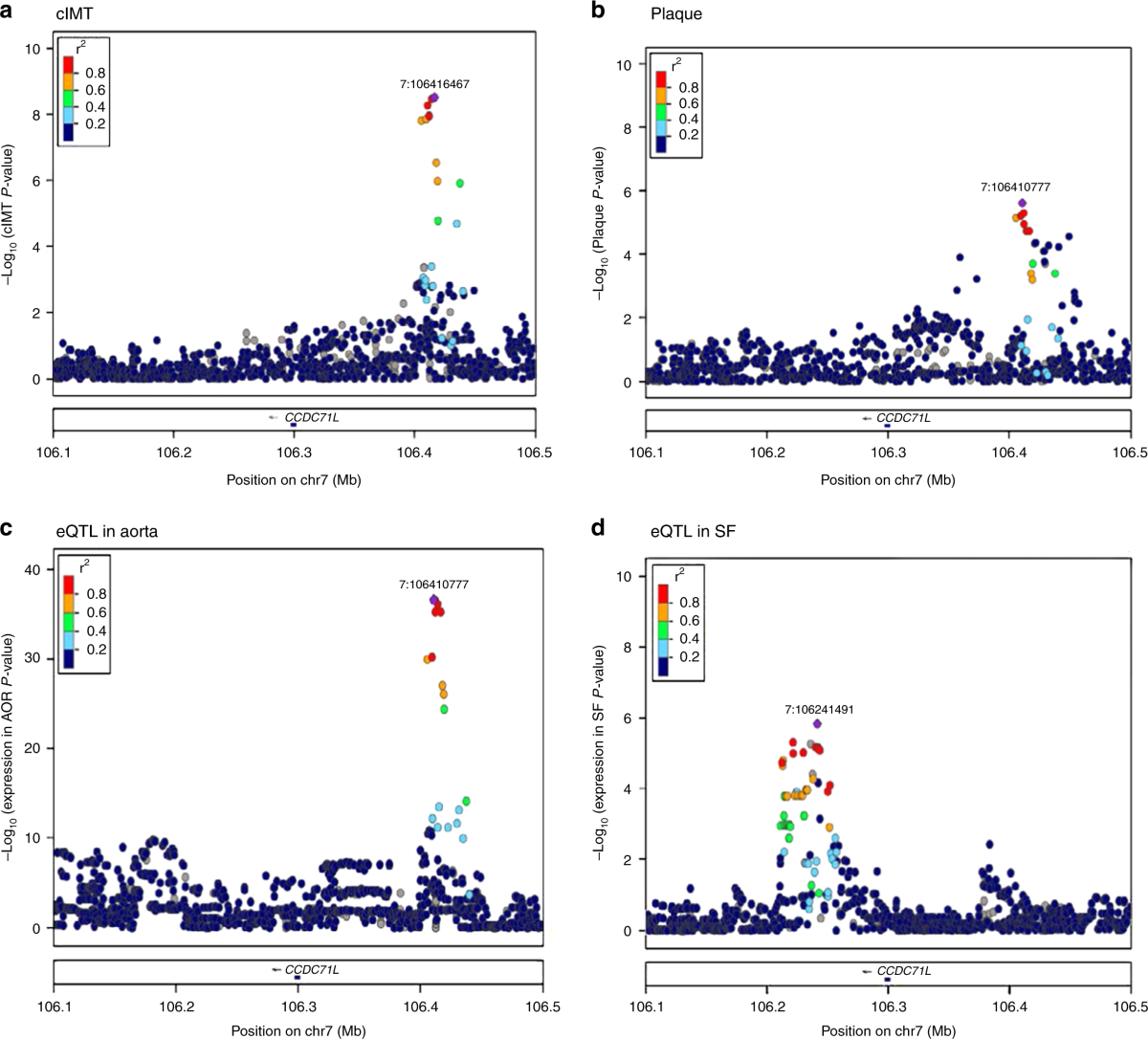 GWAS and colocalization analyses implicate carotid intima-media thickness  and carotid plaque loci in cardiovascular outcomes | Nature Communications