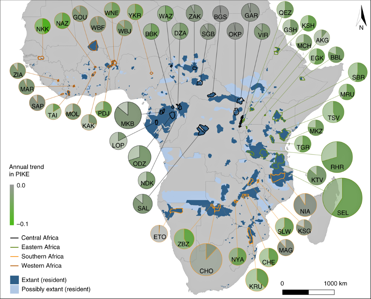 African elephant poaching rates correlate with local poverty 