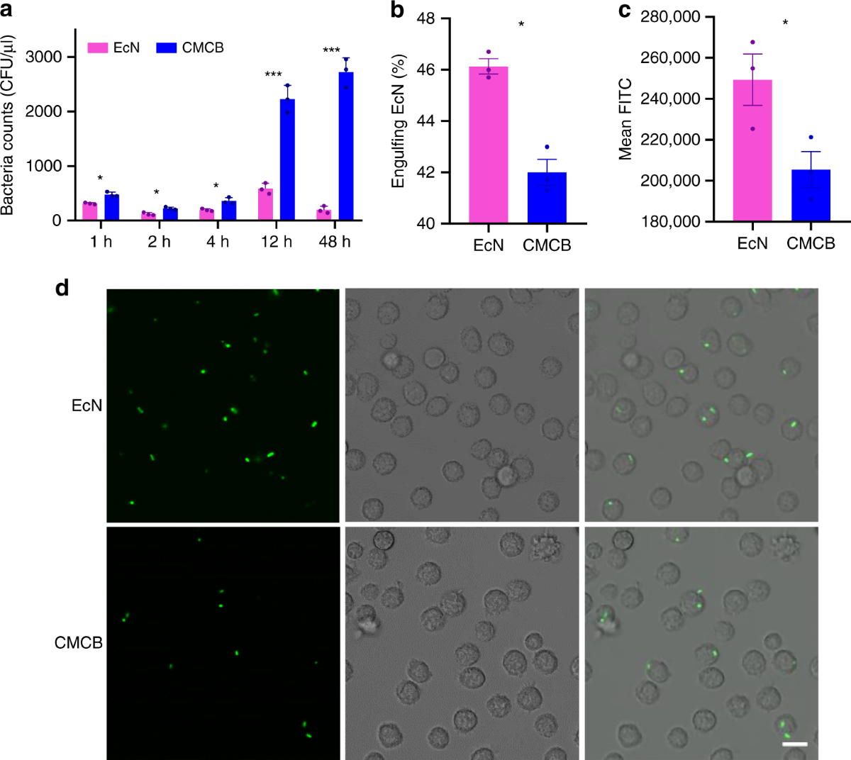 Camouflaging bacteria by wrapping with cell membranes | Nature  Communications